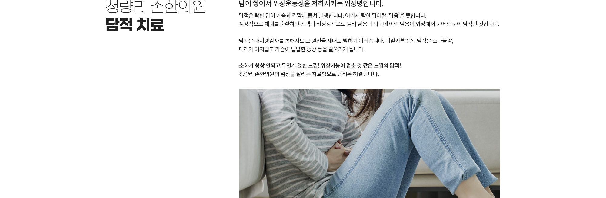 담적 상세 이미지 1
