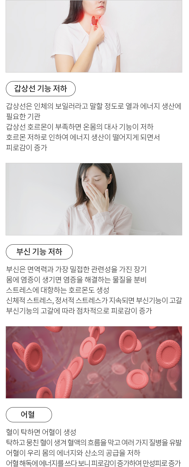 만성피로증후군 모바일 상세 이미지 3